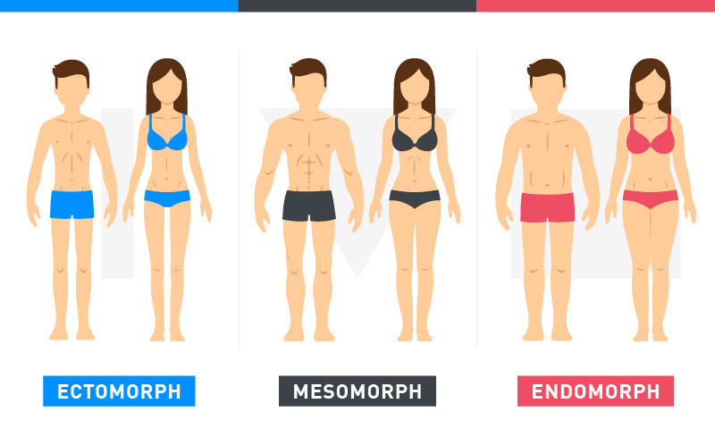 Body Types Illustration