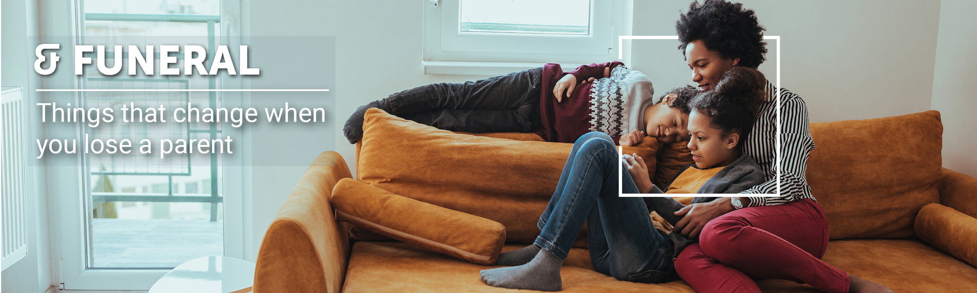 December Newsletter Article Banners4