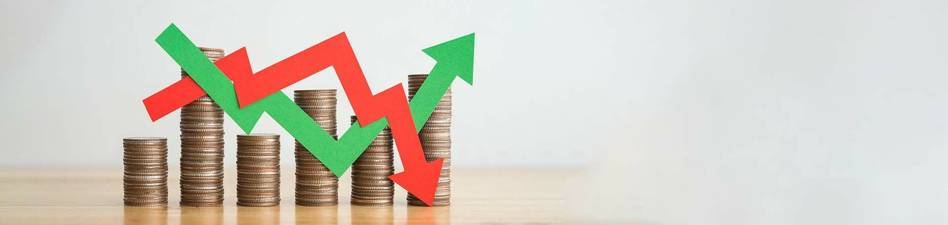 VAS The Economic Rollercoaster 2023 no text