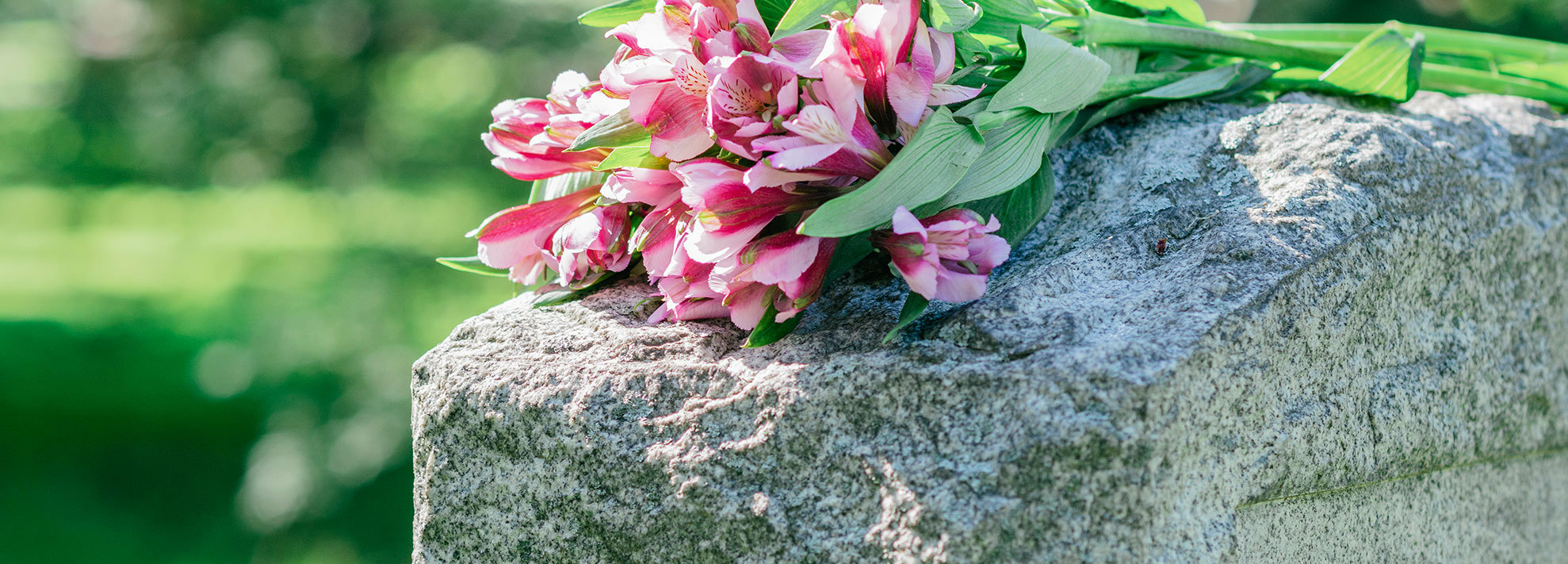 Funeral cover and plans